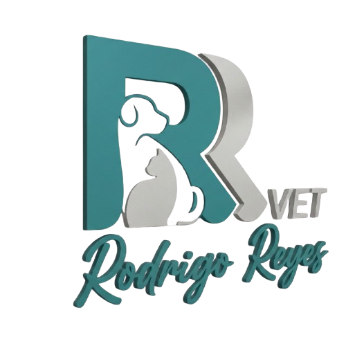 diseño sin título 25 removebg preview